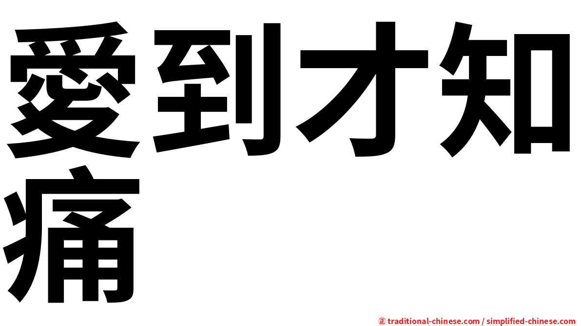愛到才知痛