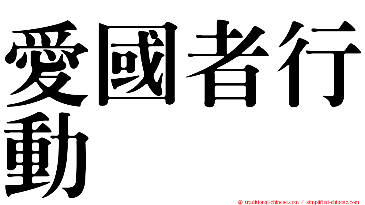 愛國者行動