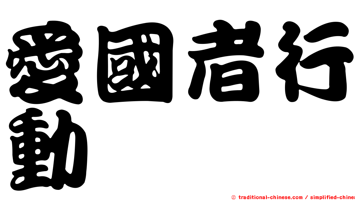 愛國者行動