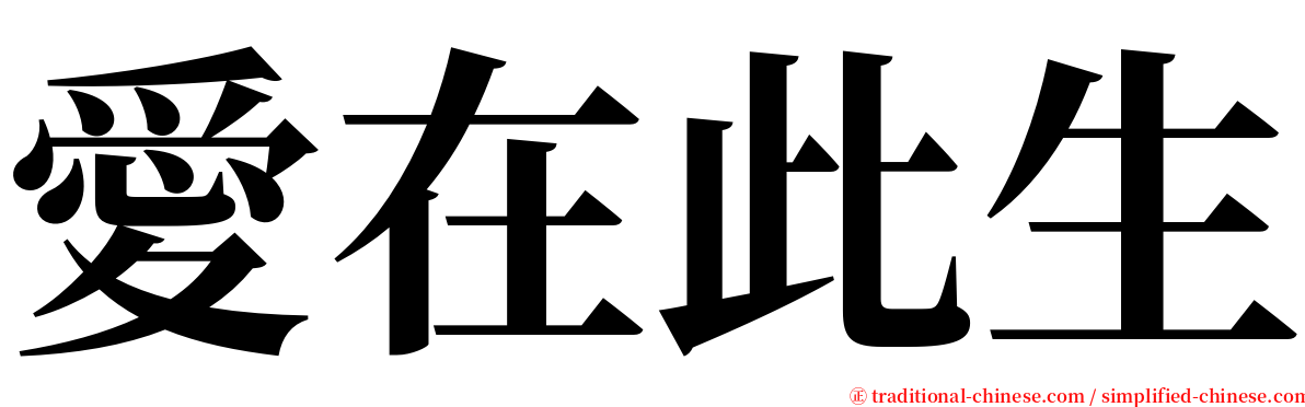 愛在此生 serif font