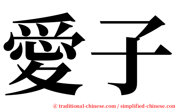 愛子 serif font