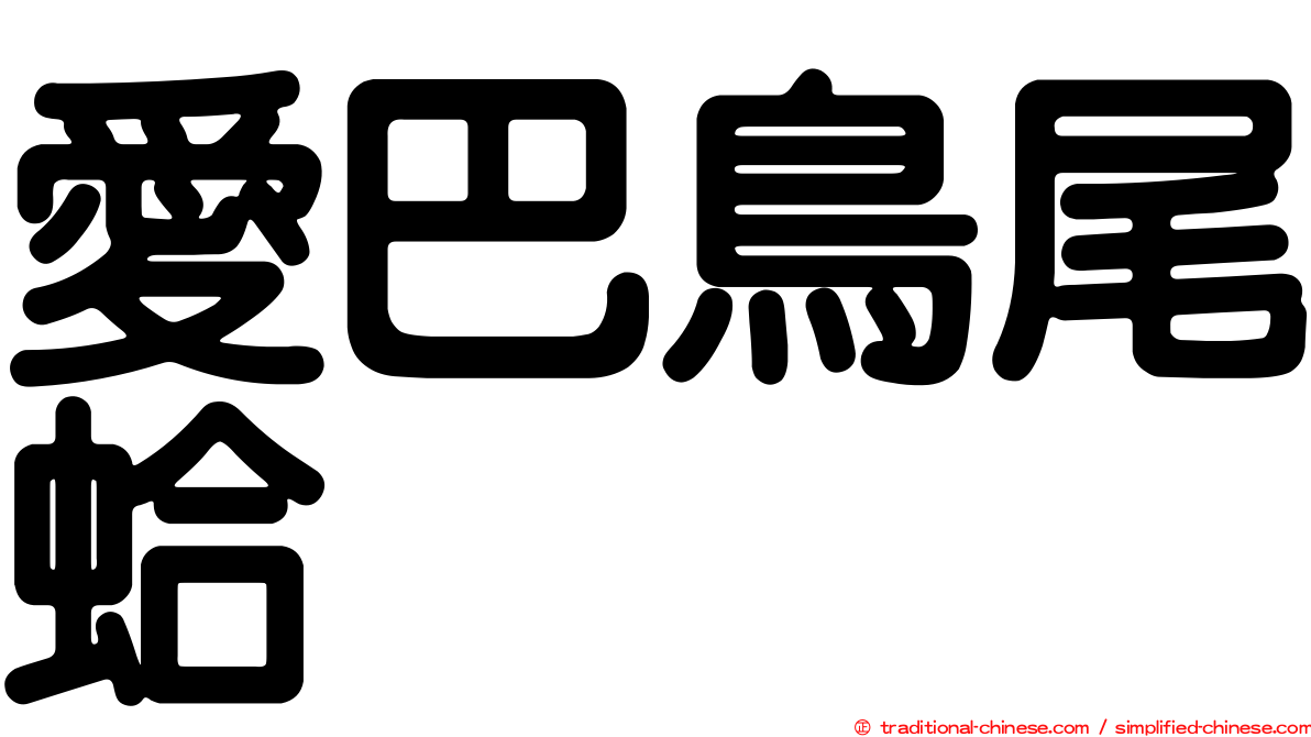 愛巴鳥尾蛤