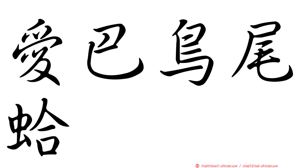愛巴鳥尾蛤