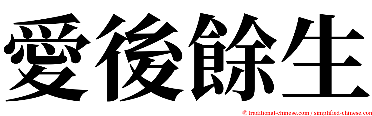 愛後餘生 serif font