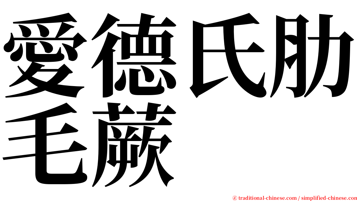愛德氏肋毛蕨 serif font