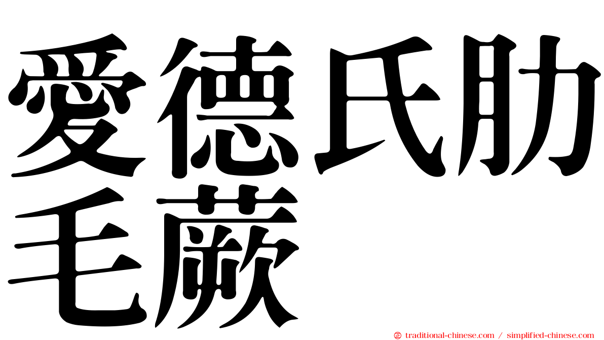 愛德氏肋毛蕨