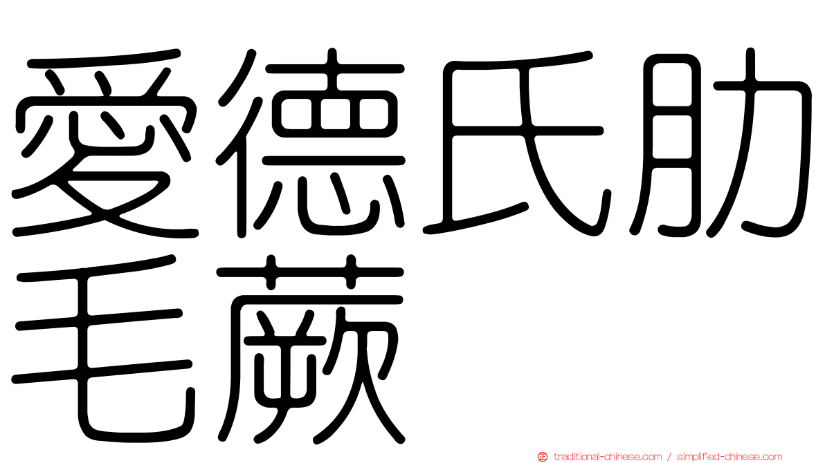 愛德氏肋毛蕨