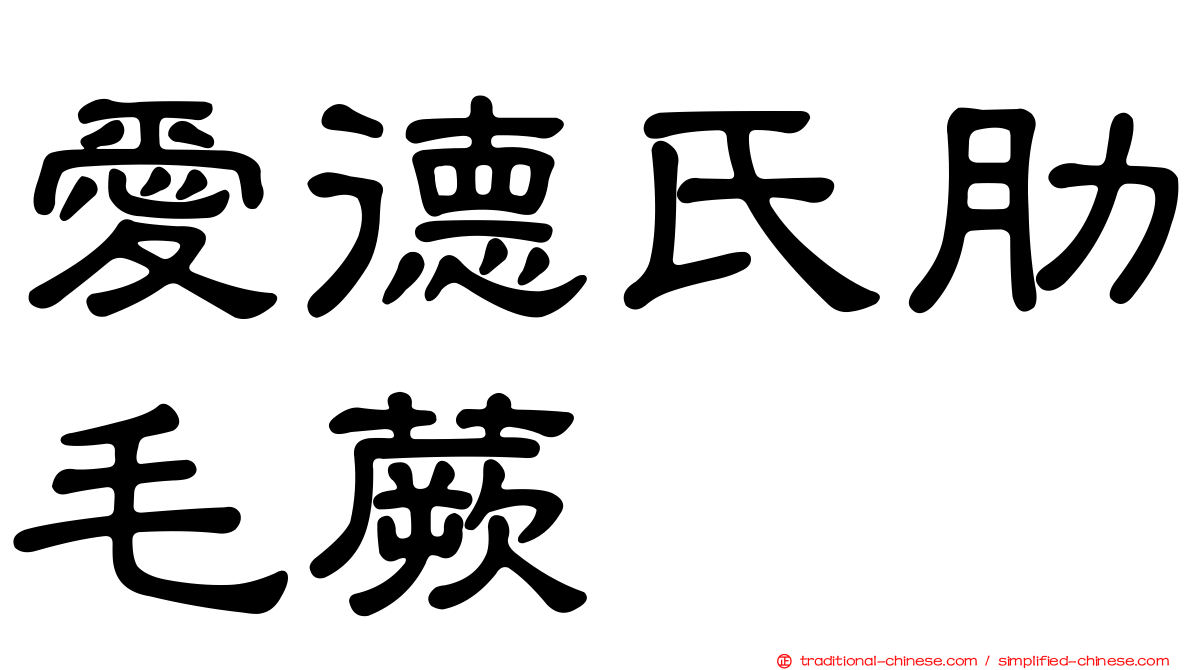 愛德氏肋毛蕨