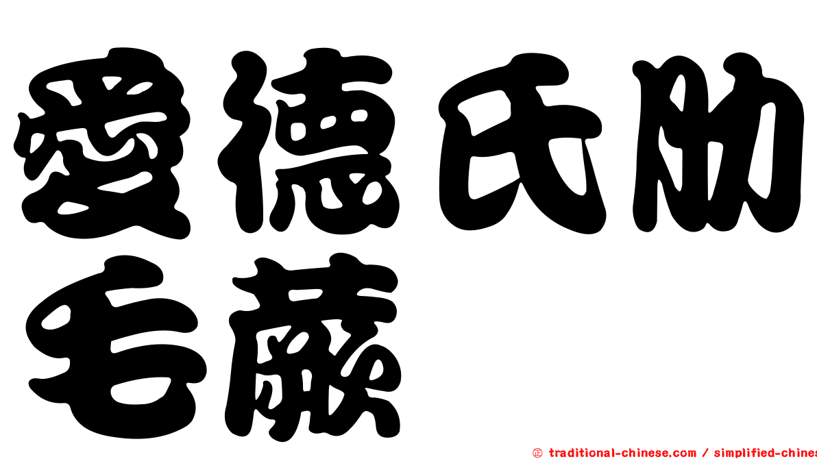 愛德氏肋毛蕨