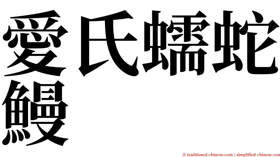 愛氏蠕蛇鰻 serif font