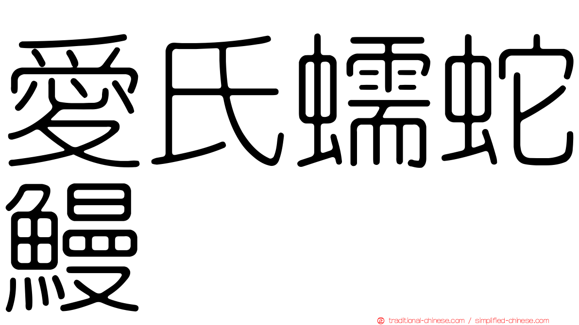 愛氏蠕蛇鰻