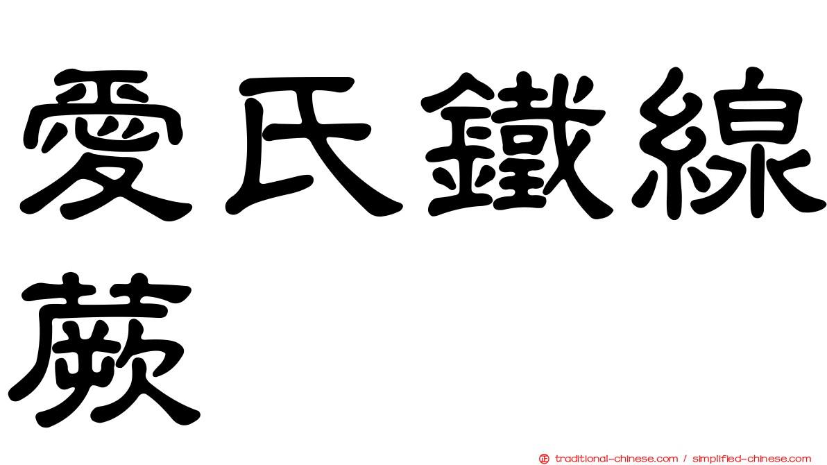 愛氏鐵線蕨