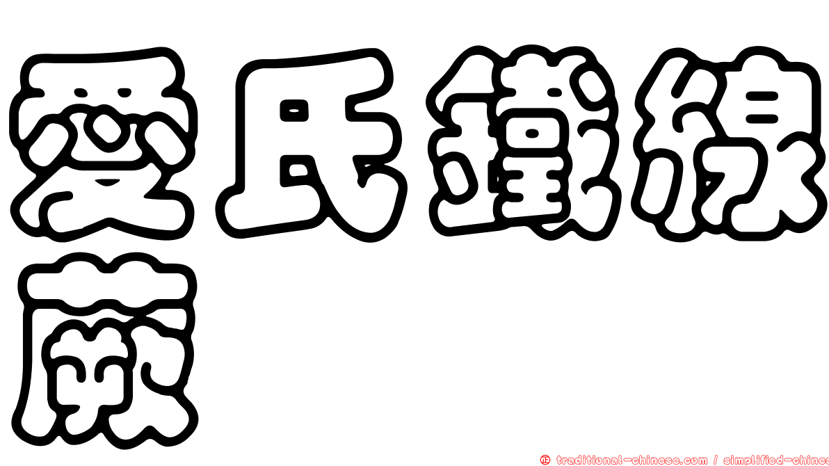 愛氏鐵線蕨