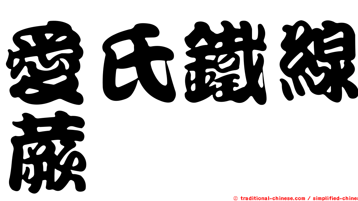 愛氏鐵線蕨