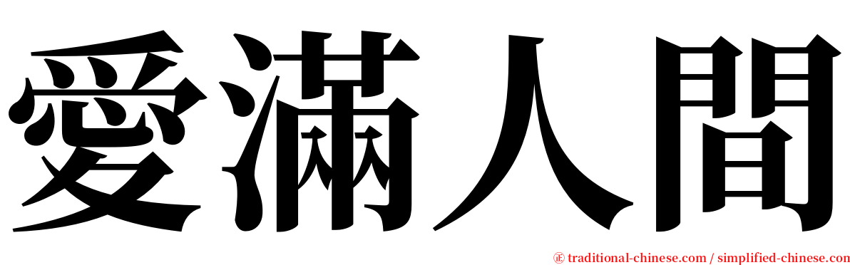 愛滿人間 serif font