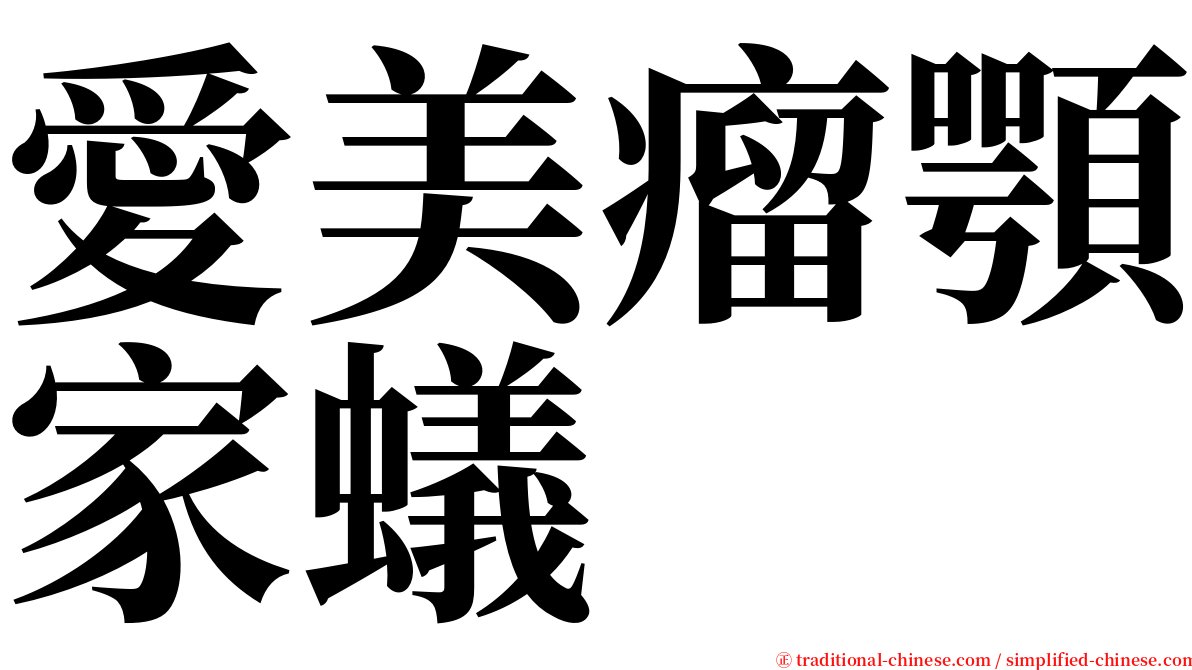愛美瘤顎家蟻 serif font