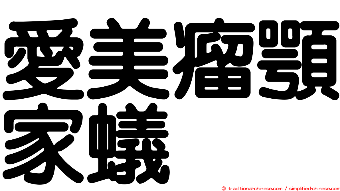 愛美瘤顎家蟻