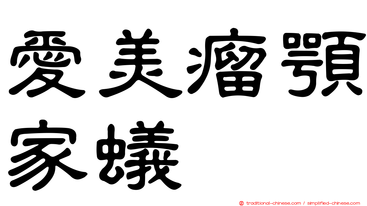 愛美瘤顎家蟻