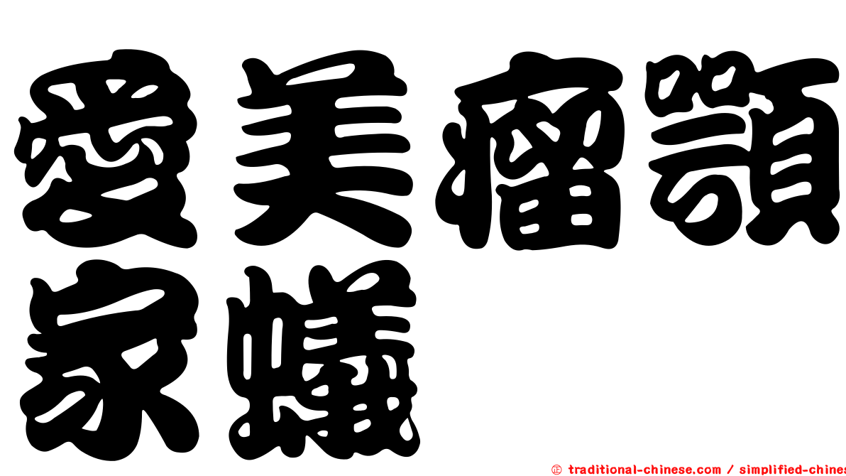 愛美瘤顎家蟻