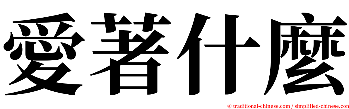 愛著什麼 serif font