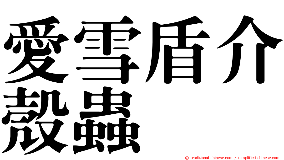 愛雪盾介殼蟲