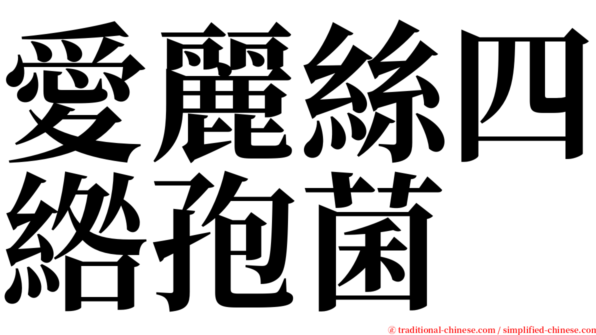 愛麗絲四綹孢菌 serif font
