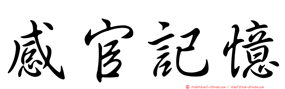 感官記憶