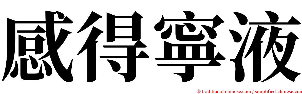 感得寧液 serif font