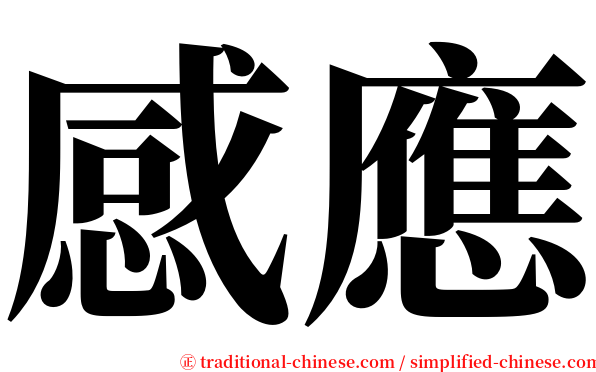 感應 serif font