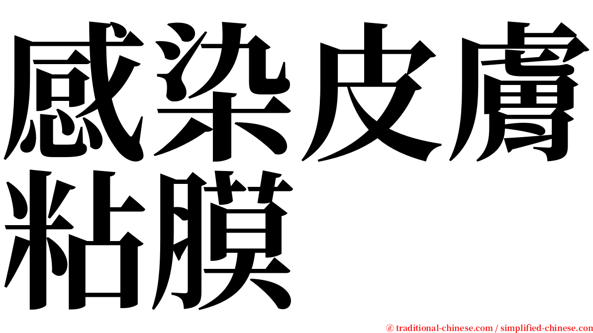 感染皮膚粘膜 serif font