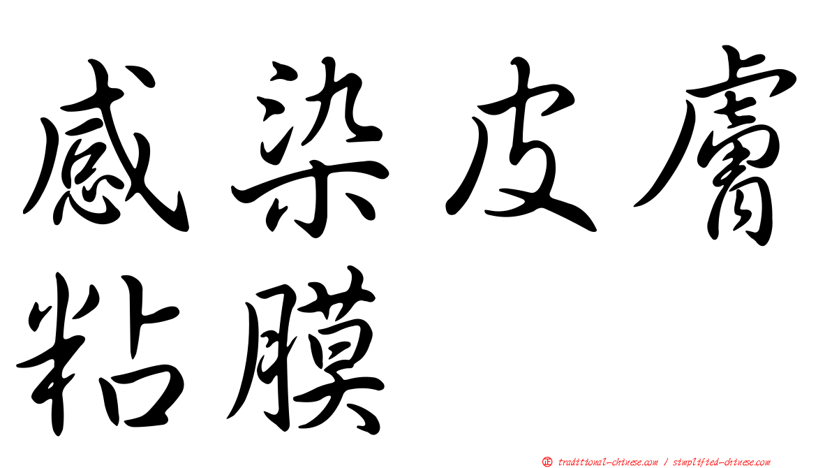 感染皮膚粘膜