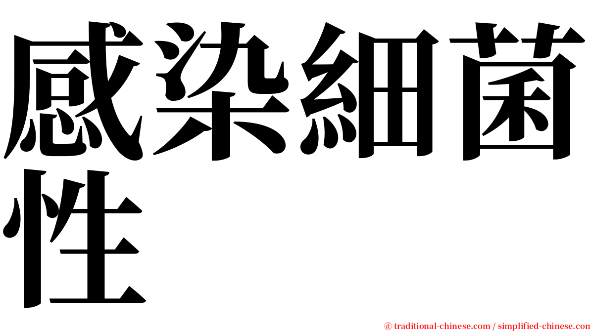 感染細菌性 serif font