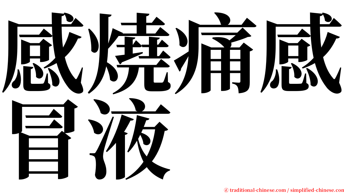 感燒痛感冒液 serif font