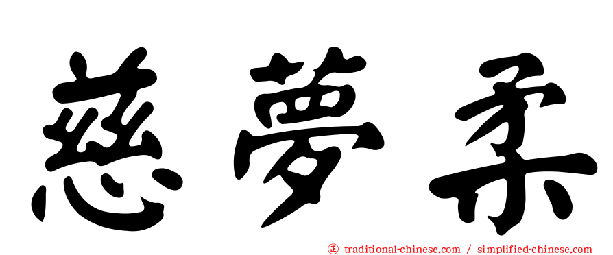 慈夢柔