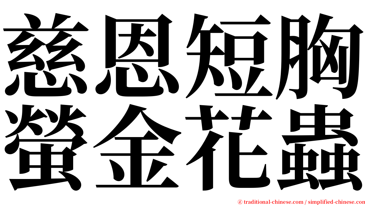 慈恩短胸螢金花蟲 serif font