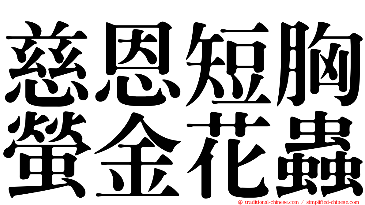 慈恩短胸螢金花蟲