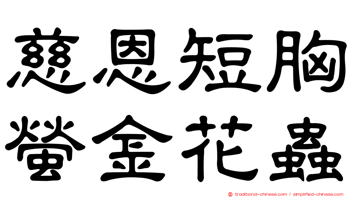 慈恩短胸螢金花蟲