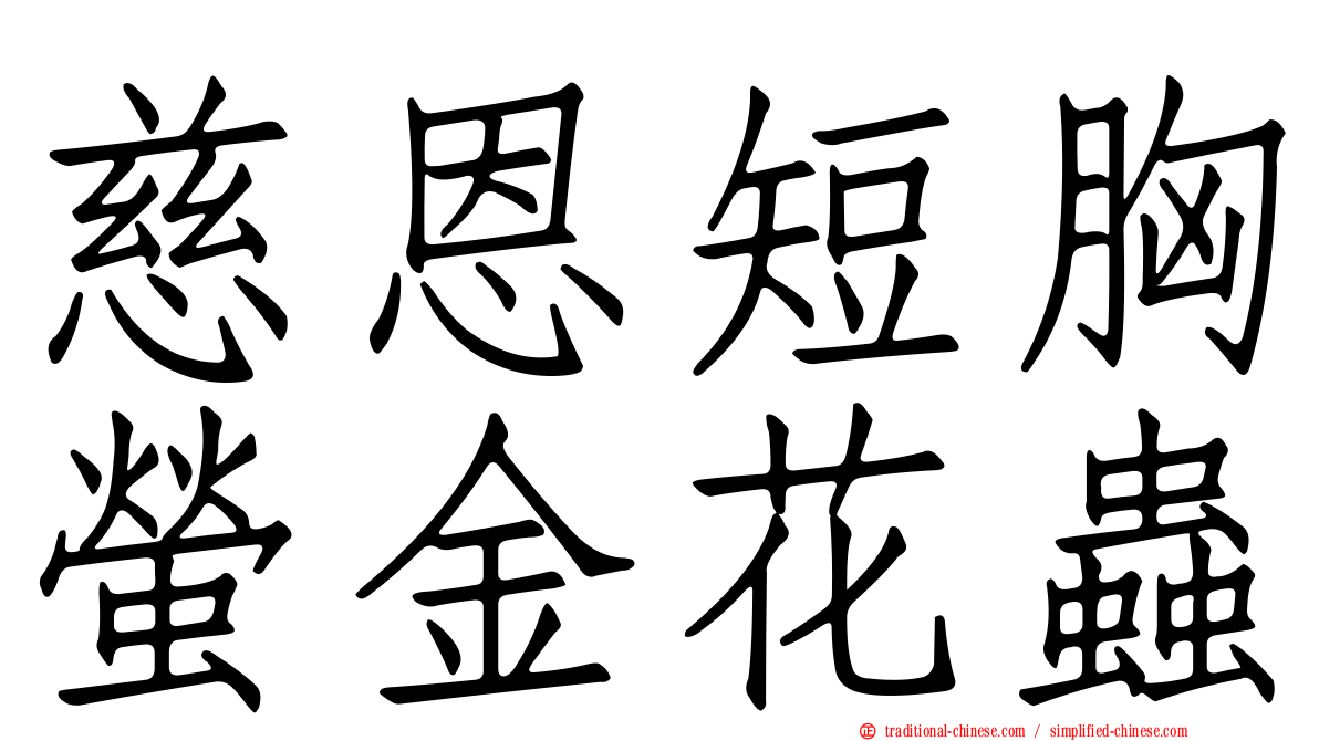 慈恩短胸螢金花蟲