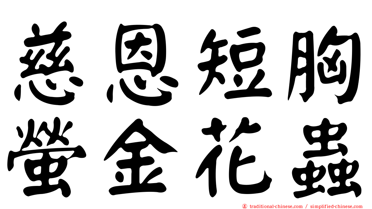 慈恩短胸螢金花蟲