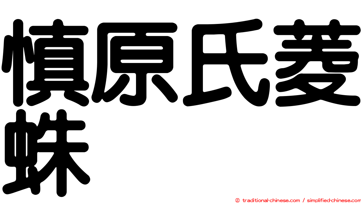 慎原氏菱蛛