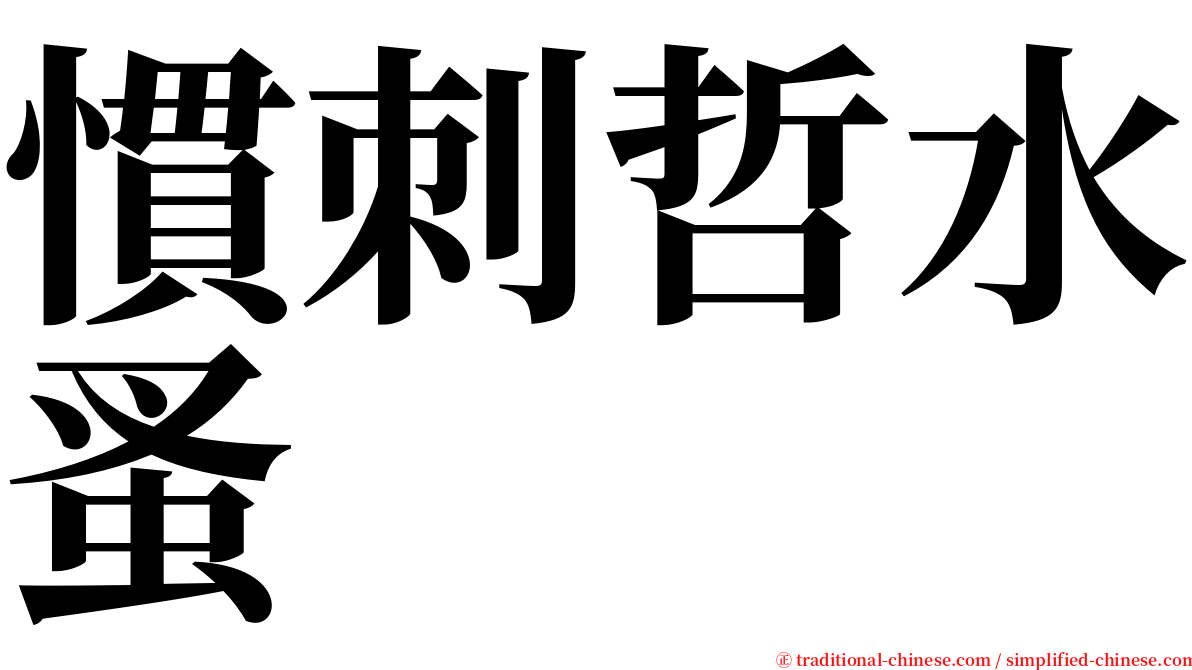 慣刺哲水蚤 serif font