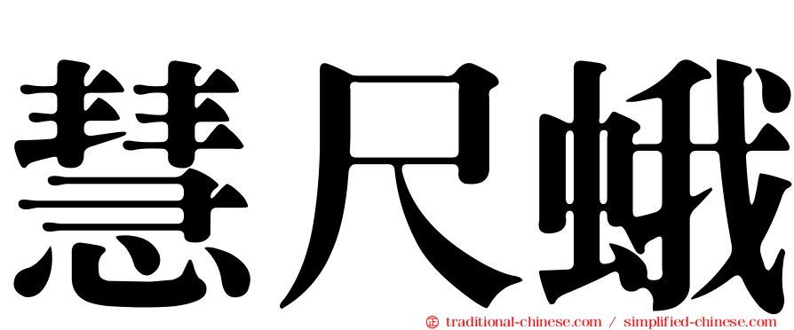 慧尺蛾