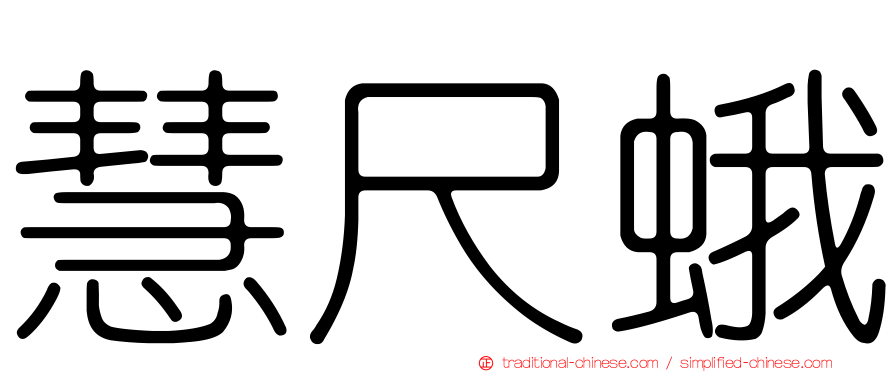 慧尺蛾