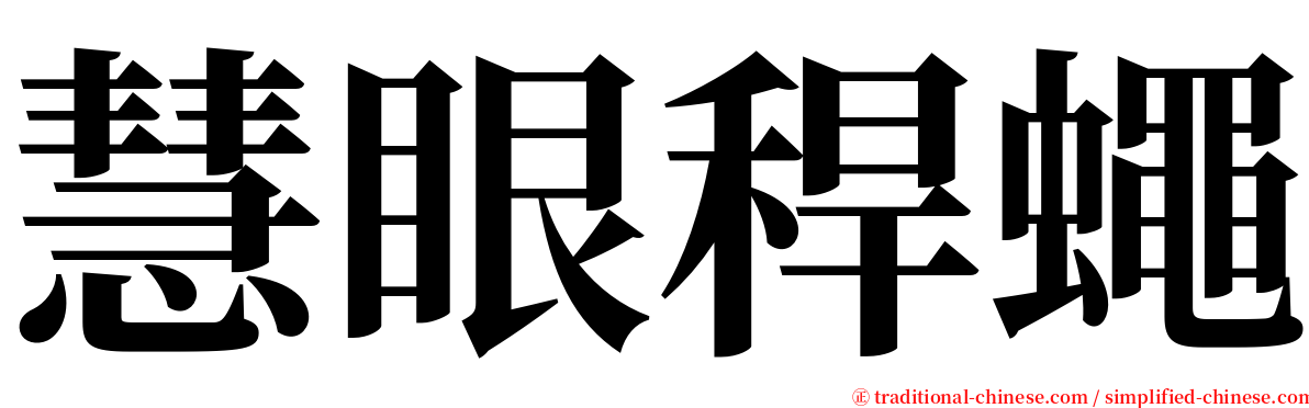 慧眼稈蠅 serif font