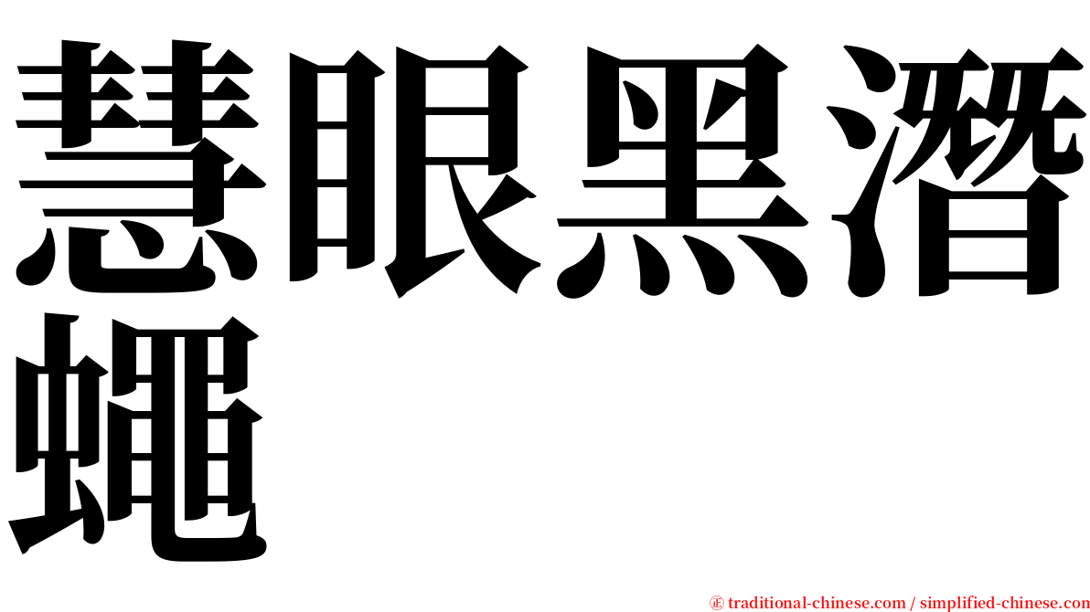 慧眼黑潛蠅 serif font