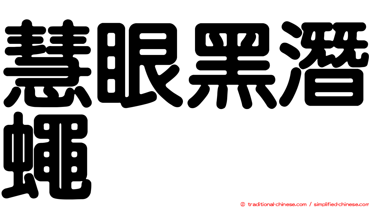 慧眼黑潛蠅