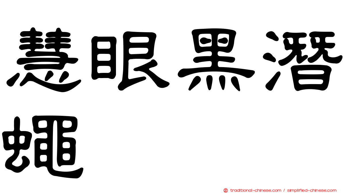 慧眼黑潛蠅