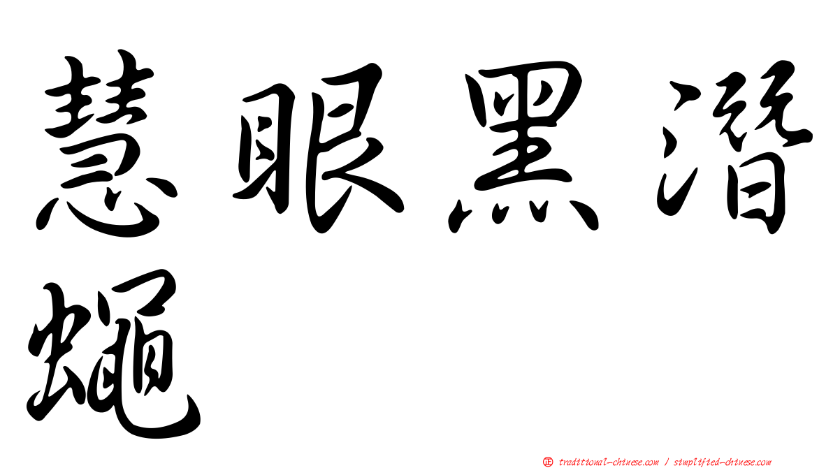 慧眼黑潛蠅