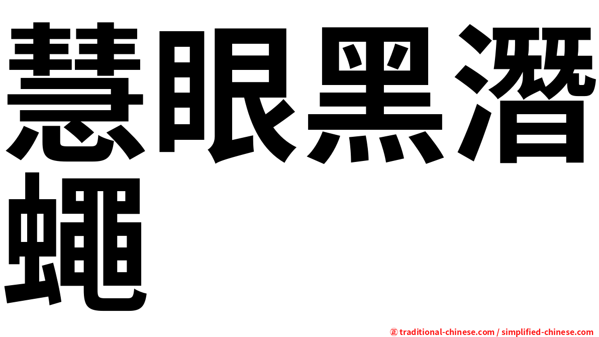慧眼黑潛蠅