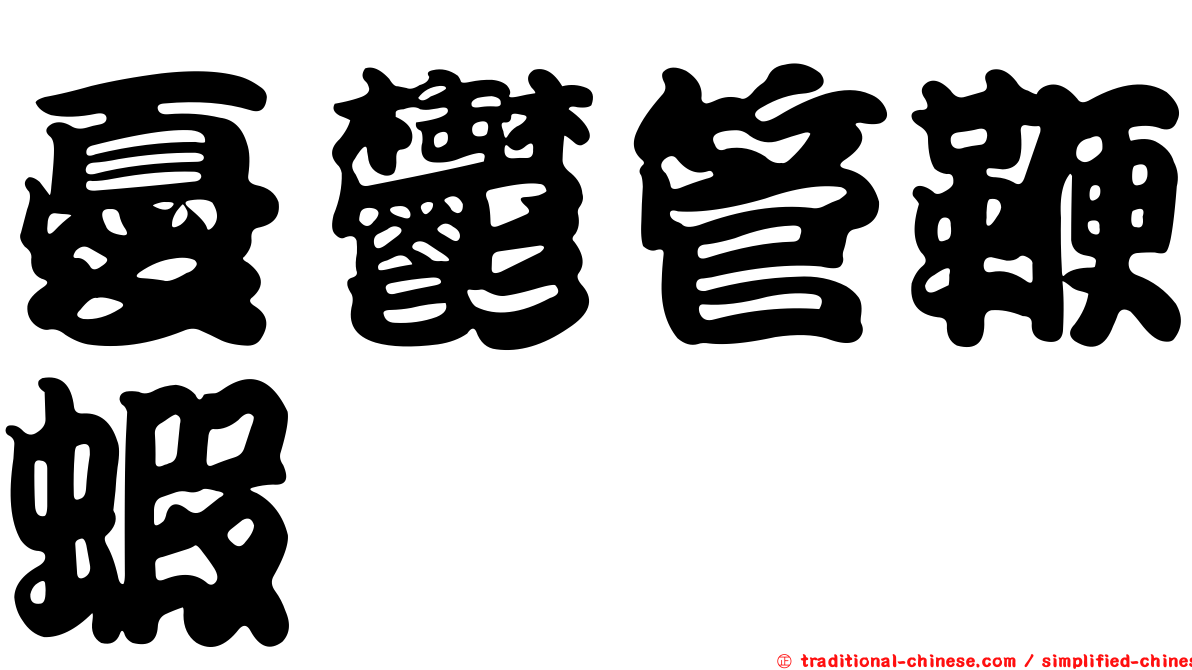 憂鬱管鞭蝦